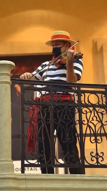 What happens in venice stays in vegas ‼️Mia Malkova 😍 #shorts смотреть онлайн