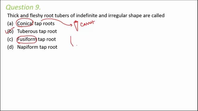 NEET MCQ Plant Physiology | NEET Biology Practice Questions смотреть онлайн