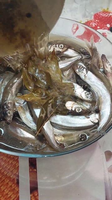 Мойва прянного посола! Вкуснейшая рыбка! Обязательно приготовьте!#мойва #кулинария