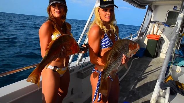 NAFA 30 Model Shoot смотреть онлайн