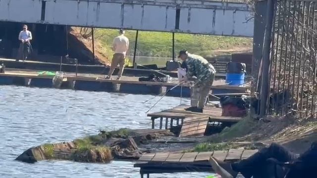 Основной водоем смотреть онлайн