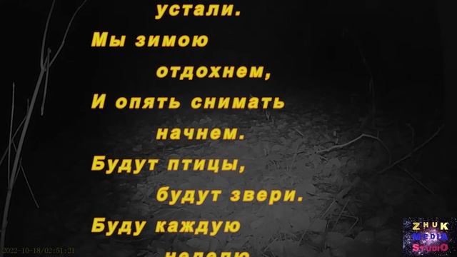 Последний медведь осени смотреть онлайн