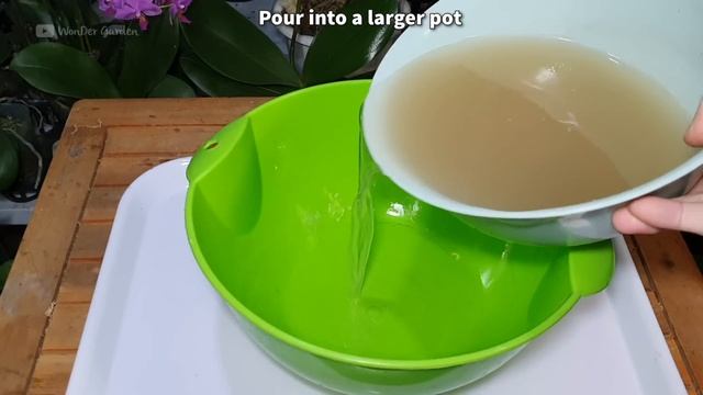 With the magical use of banana peels, your anthurium will bloom brilliantly all year round смотреть онлайн