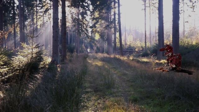 Another Blender Test смотреть онлайн
