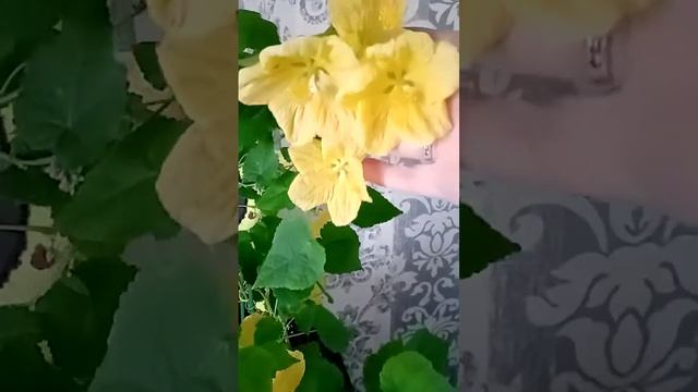 1 ноября 2022 г.