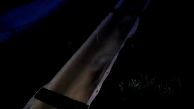 Зарыбление водоёма воронежским карпом