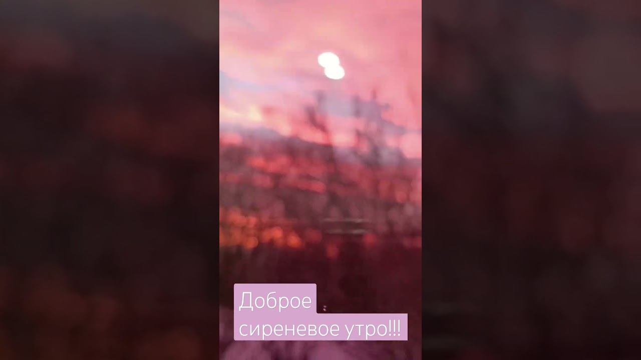 Доброе сиреневое утро!!! смотреть онлайн