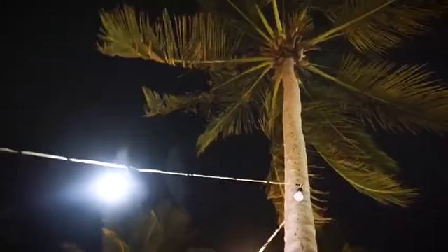 Eto'o Tsana -- Désir D'Amour (New Song Teaser)