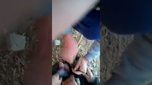 Жалагаш Нуртас агай