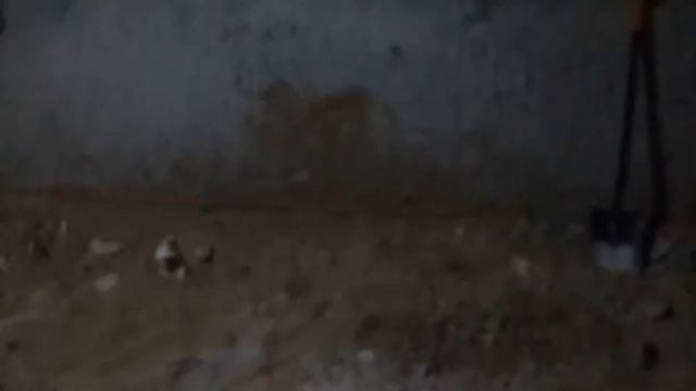 Пол в подвале. Часть 1 смотреть онлайн