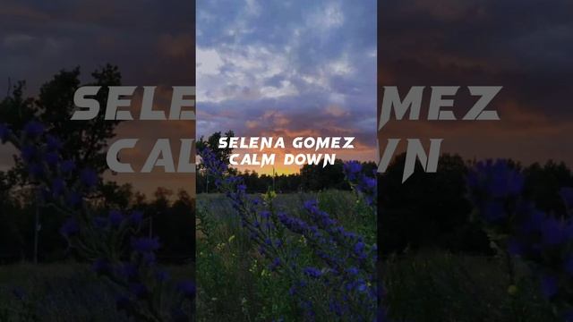 [СеленаГомес]Calm Down Музыка для уборки♡ смотреть онлайн