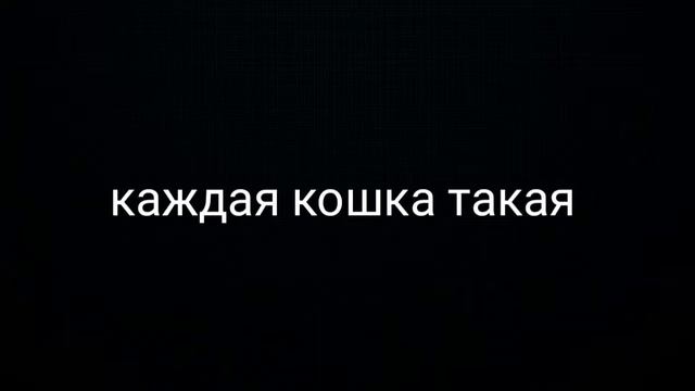 Каждая кошка такая🦁/nika Kat