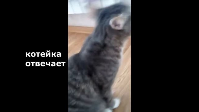 Видео: "Злая котейка и художник", автор Александр Аленин смотреть онлайн