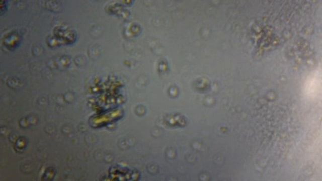 Капля из лужи возле дома смотреть онлайн