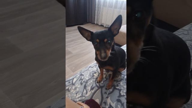 как же хочется пряник🤦♀️