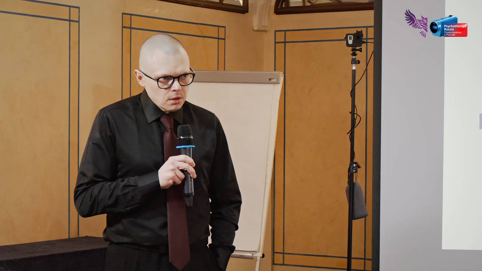 Психодинамика тревоги и депрессии. Психоаналитический подход. Владимир Брылёв.