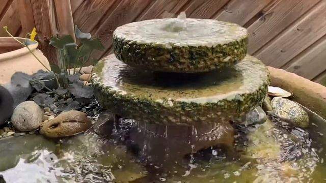 30 minutes relaxing asian music, zen garden relaxation, water fountain relaxation #chinese flute смотреть онлайн