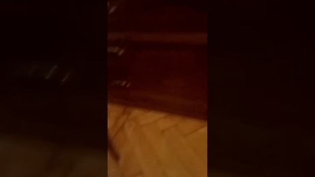 Новая игрушка липучка 😱 смотреть онлайн