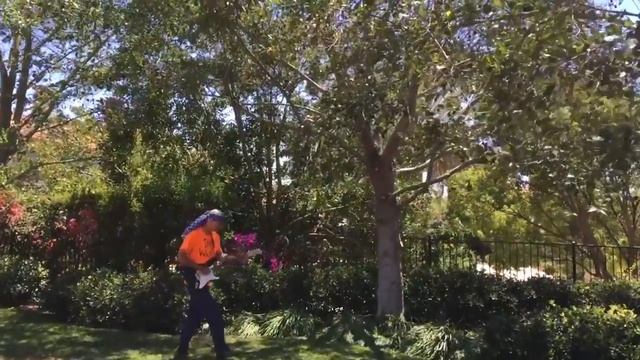 Alder Tree Pruning with Gary Walker, The Tree Whisperer смотреть онлайн
