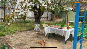 Влог Пасхальный🥚🐣🧁Праздничный стол🥗Поздравление с Пасхой🙏Прогулка по морю🌊 двору,кошечки🐈