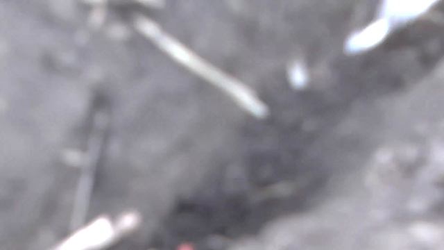 10 апреля начало сева кукурузы смотреть онлайн