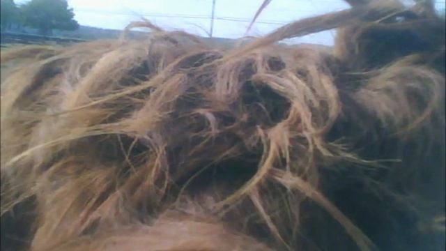 The Greatest HD Pinhole Spy Cam / Spy Camera in the World.... смотреть онлайн