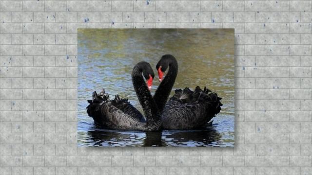 Стихотворение. Жди меня, и я вернусь! смотреть онлайн