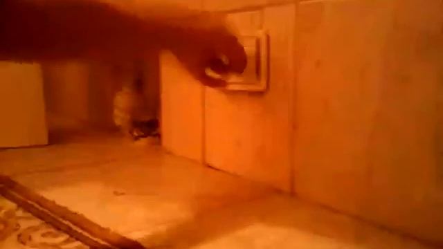 Нашол чем подзарядится:-D смотреть онлайн