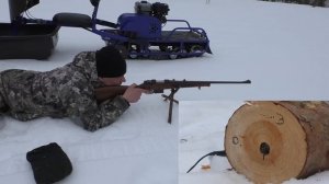 САМЫЙ НЕЛЕПЫЙ КАЛИБР ДЛЯ ОХОТЫ / ТРИ РАЗНЫХ ПУЛИ ПО СОСНОВОМУ ПОЛЕНУ / КАРАБИН CZ 527 lux 223 рем.