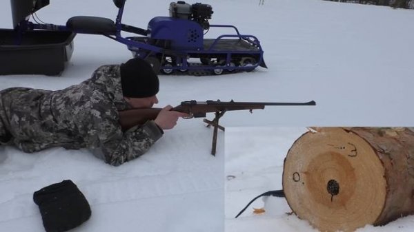 САМЫЙ НЕЛЕПЫЙ КАЛИБР ДЛЯ ОХОТЫ / ТРИ РАЗНЫХ ПУЛИ ПО СОСНОВОМУ ПОЛЕНУ / КАРАБИН CZ 527 lux 223 рем.
