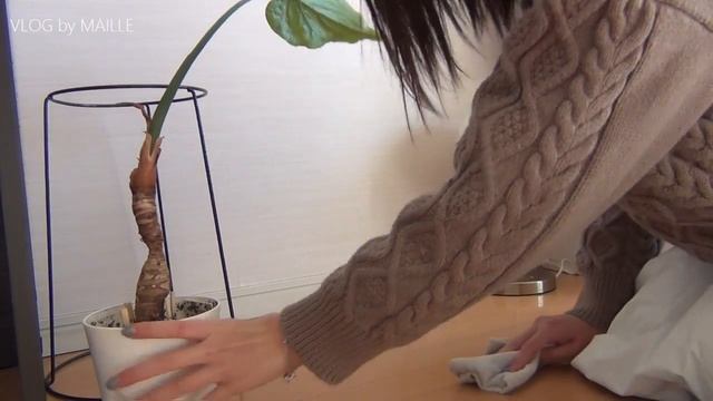 【VLOG】5:30に起床して生産的に過ごす朝/アラサーフリーランス やるべき事が多い日の一日/VLOG撮影とハンドメイド雑貨と友達と過ごす時間/productive day in my life смотреть онлайн