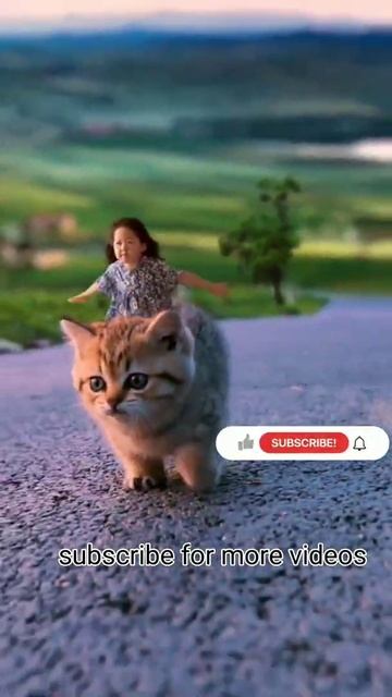 Let's go, let the fat tiger take you for a ride photography tips videography#shorts #youtubeshorts смотреть онлайн