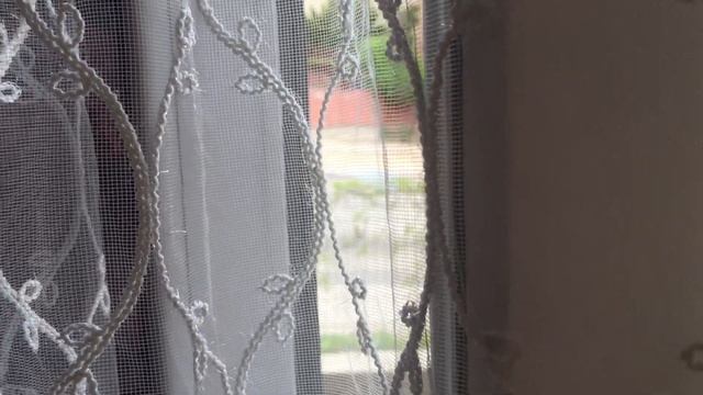 VLOG:Жизнь на карантине/Подарок на мой день/Наша Муся/