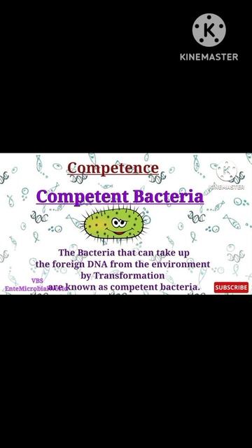 Competent Bacteria @EnteMicrobialWorld #microbiology #microbes #short #bacteria #shortsfeed #vbs смотреть онлайн