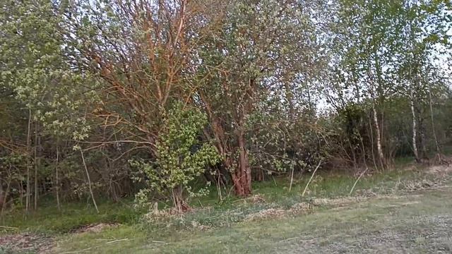 14 мая   -5 Московская область