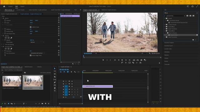 How To Add Blur To A Video Premiere Pro 2023 смотреть онлайн