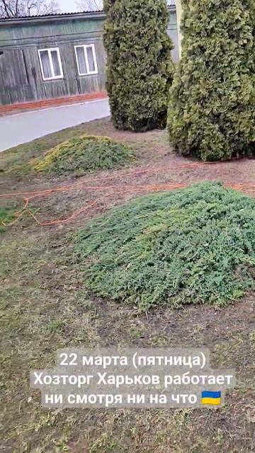 22 марта (пятница) Хозторг Харьков работает ни смотря ни на что 🇺🇦 смотреть онлайн