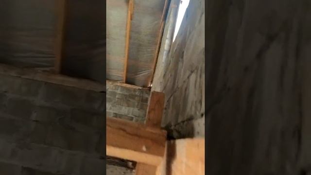 VID 20210501 102835 смотреть онлайн