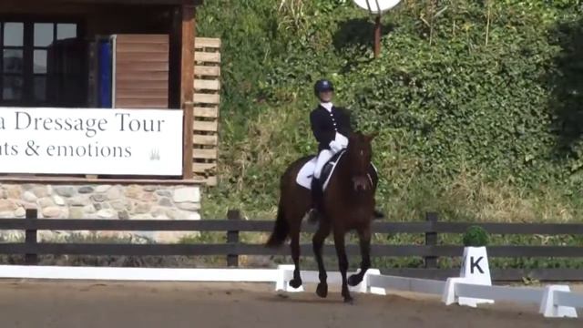 Diana Al Shaer & UNAZALEE DE MASSA