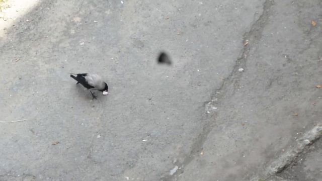 вороны 2 смотреть онлайн