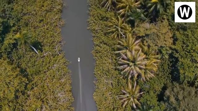 Amazing New Flying Surfboards Can Fly Over Water смотреть онлайн