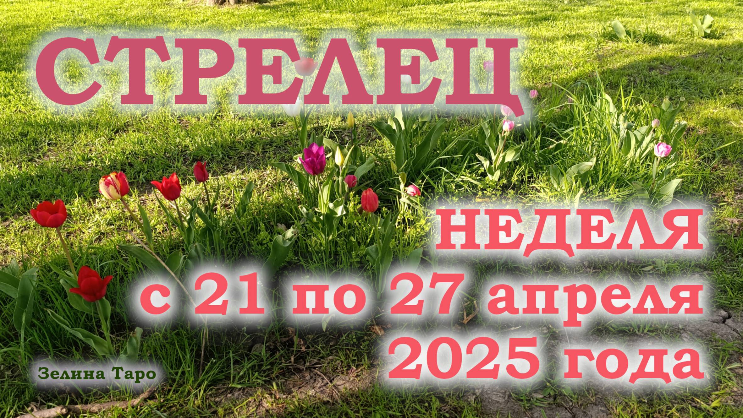 СТРЕЛЕЦ | ТАРО прогноз на неделю с 21 по 27 апреля 2025 года