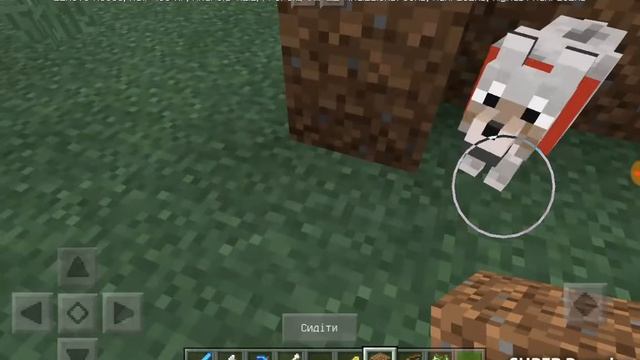 Крутое видео про Minecraft показывание дома и приручение собаки! смотреть онлайн