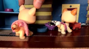 LPS/ В ЗАБРОШЕННОМ ДОМЕ или приключение в деревне /film Littlest pet Shop