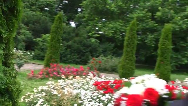 Свадебный клип 2013 студия пилот