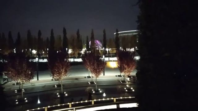 21.11.2020 Кипарисы на верху спирали смотреть онлайн