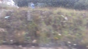 Лосево жд станция Лосево и небольшой промежуток до станции Петеярви