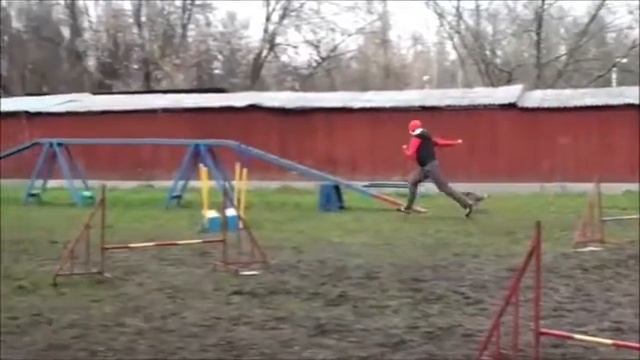 Фиджи измайлово 09 11 смотреть онлайн
