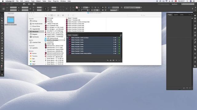 INDESIGN DA BOOK YAPARAK ÇALIŞMA смотреть онлайн