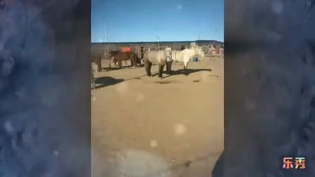 бүжин бор смотреть онлайн